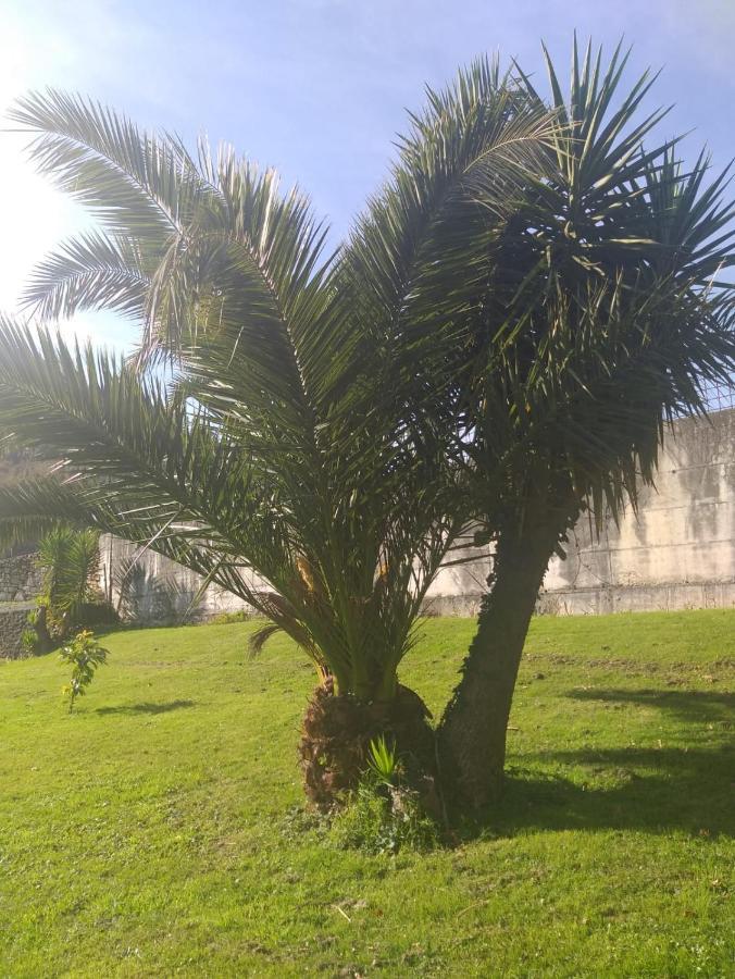 Apartamento En Casa Unifamiliar Para 2 Personas En Guriezo Trebuesto Exterior foto